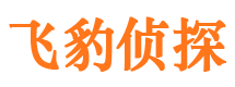 甘井子出轨调查